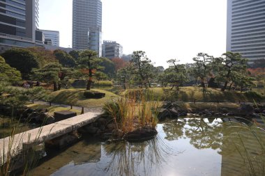 27 Kasım 2023 Kyushibarikyu Japon Bahçesi, Japonya Gölü.