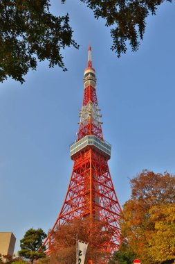 Parlak güneşli bir Tokyo Kulesi 27 Kasım 2023