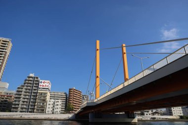 27 Kasım 2023 Shin Ohashi Köprüsü Sumida Nehri, Tokyo, Japonya