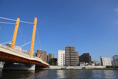 27 Kasım 2023 Shin Ohashi Köprüsü Sumida Nehri, Tokyo, Japonya