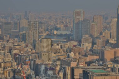 Tokyo 'nun şehir burnu, modern liman şehri 27 Kasım 2023