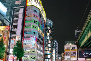 26 Kasım 2023 'te Akihabara' daki binalara ışık ve reklam panoları.