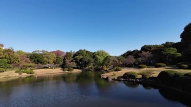 28 Kasım 2023 Shinjuku Gyo en National Garden, Japonya