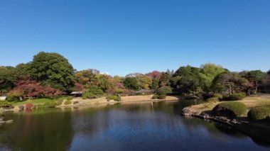 28 Kasım 2023 Shinjuku Gyo en National Garden, Japonya