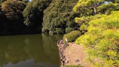 28 Kasım 2023 Shinjuku Gyo en National Garden, Japonya