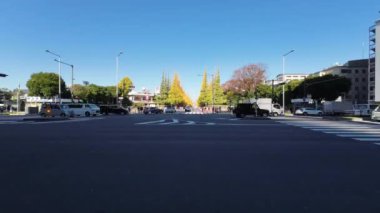 28 Kasım 2023 Sonbahar yapraklarının altında parlayan Gingko Ağacı Caddesi