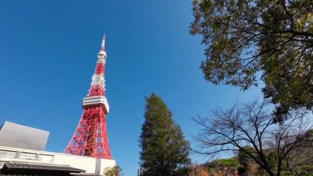 Νοεμβρίου 2023 Πύργος Τόκιο Πλάνα Από Ταξιδιωτικούς Προορισμούς — Αρχείο Βίντεο