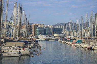 13 Ocak 2024 Bir Causeway Bay Tayfun Sığınağı Serene Denizcilik İnzivası