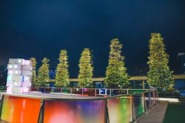 Gingza 26 Kasım 2023 'te yeşil bitkilerle dolu çatı bahçesi.