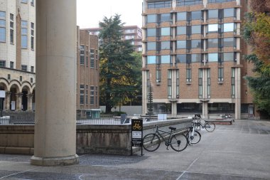 Tokyo Üniversitesi Kampüsü 26 Kasım 2023