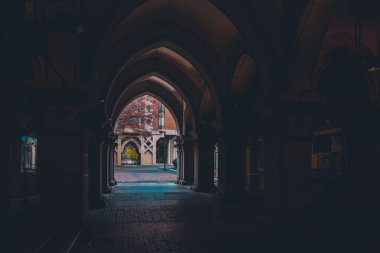 Tokyo Üniversitesi, Tokyo, Japonya 'da yol. 26 Kasım 2023