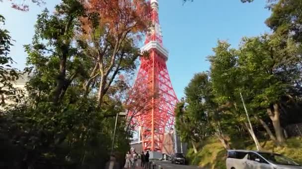 Ноября 2023 Токийская Башня Съемка Туристических Направлений — стоковое видео
