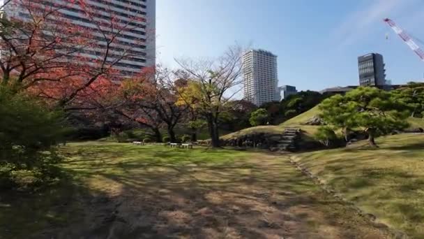 Kasım 2023 Kyushibarikyu Japon Bahçesi Tokyo Körfezi — Stok video