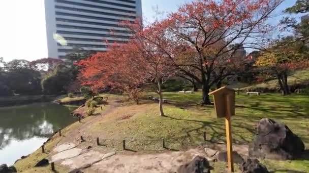 Noviembre 2023 Kyushibarikyu Jardín Japonés Bahía Tokyo — Vídeos de Stock