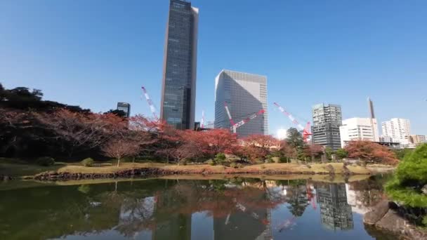 Noviembre 2023 Kyushibarikyu Jardín Japonés Bahía Tokyo — Vídeo de stock