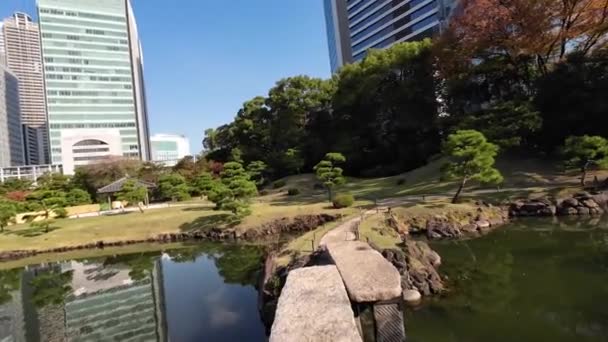 Νοεμβρίου 2023 Kyushibarikyu Ιαπωνικός Κήπος Στον Κόλπο Του Τόκυο — Αρχείο Βίντεο