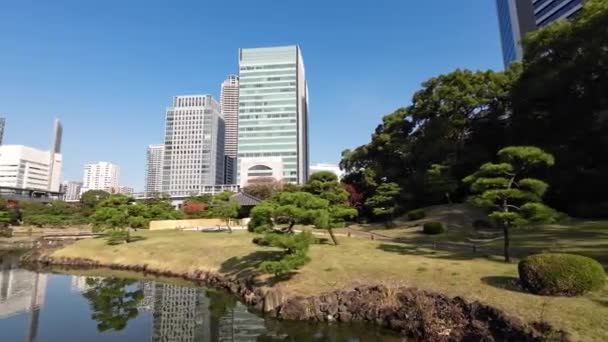 Novembro 2023 Jardim Japonês Kyushibarikyu Baía Tokyo — Vídeo de Stock