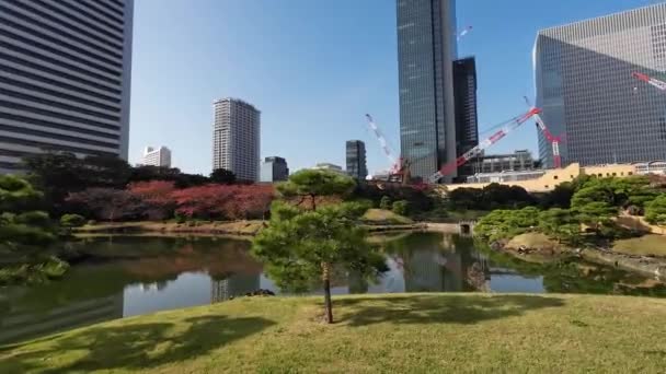 November 2023 Kyushibarikyu Japanska Trädgård Vid Tokyo Bay — Stockvideo