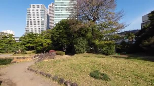 Листопада 2023 Японський Сад Затоці Токіо — стокове відео