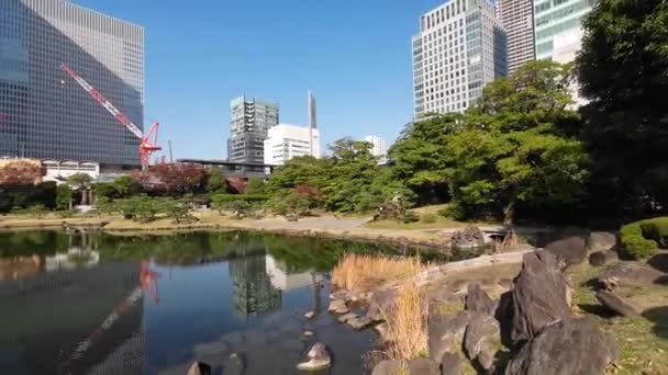 Ноября 2023 Года Кюсибарикю Японский Сад Заливе Токё — стоковое видео