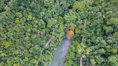 20 Ocak 2024 Lau Shui Heung Baraj göleti kıyısı