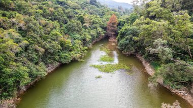 20 Ocak 2024 Lau Shui Heung Baraj göleti kıyısı