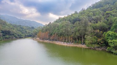 20 Ocak 2024 Lau Shui Heung Baraj göleti kıyısı