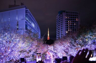 Roppongi Keyakizaka Sokak No: 25 2023 'te Gece Kışları Aydınlatma