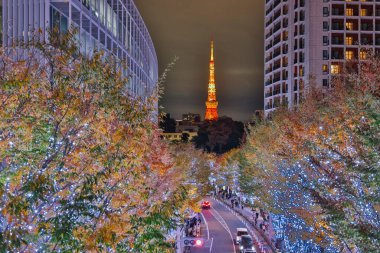 Japon Tokyo Roppongi, Aydınlanmış Noel yaklaşıyor 25 Kasım 2023