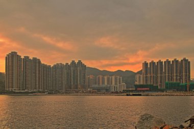 Önemsiz yuva, Tseung Kwan O yuva