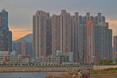 Önemsiz yuva, Tseung Kwan O yuva