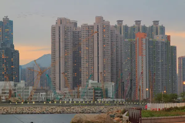 Önemsiz yuva, Tseung Kwan O yuva