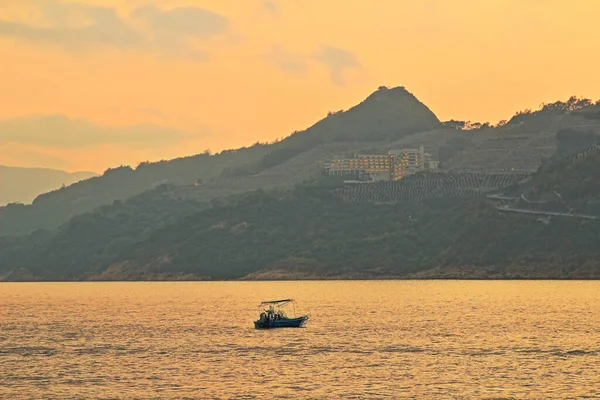 Önemsiz yuva, Tseung Kwan O yuva