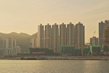 Önemsiz yuva, Tseung Kwan O yuva