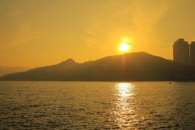 Önemsiz yuva, Tseung Kwan O yuva