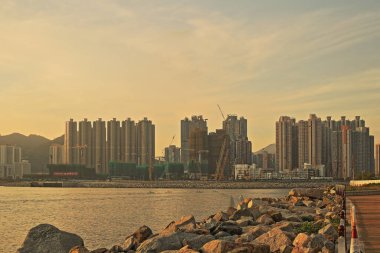 Önemsiz yuva, Tseung Kwan O yuva