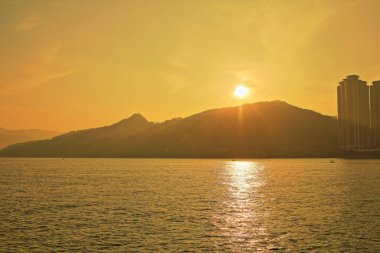 Önemsiz yuva, Tseung Kwan O yuva