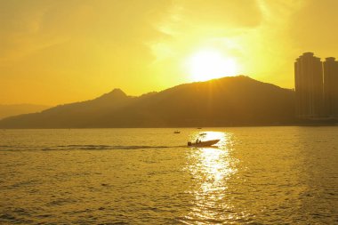 Önemsiz yuva, Tseung Kwan O yuva