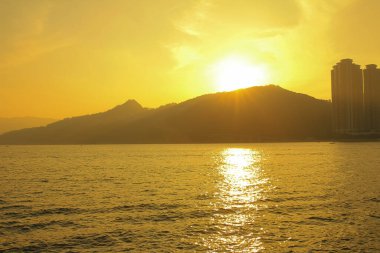 Önemsiz yuva, Tseung Kwan O yuva