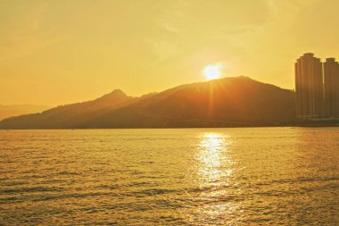 Önemsiz yuva, Tseung Kwan O yuva