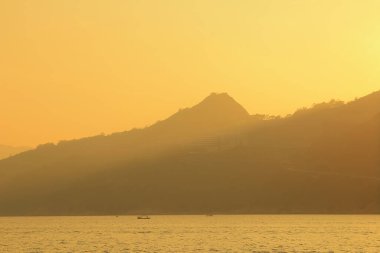 Önemsiz yuva, Tseung Kwan O yuva