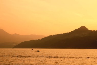 Önemsiz yuva, Tseung Kwan O yuva