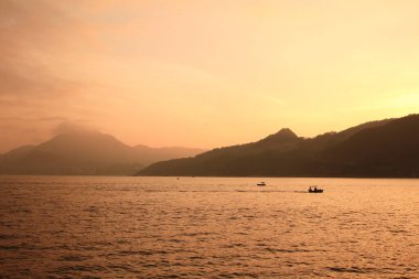 Önemsiz yuva, Tseung Kwan O yuva