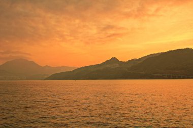 Önemsiz yuva, Tseung Kwan O yuva