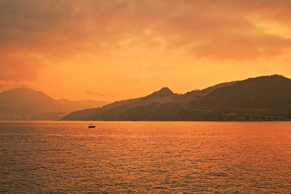 Önemsiz yuva, Tseung Kwan O yuva