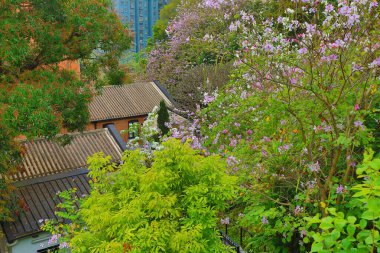 Kırmızı Tuğla İnşaat Hong Kong 'da 22 Mart 2015