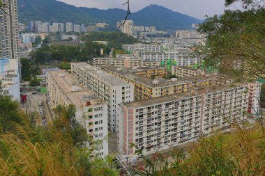 Tai Hang Sai Malikanesi, Hong Kong 22 Mart 2015