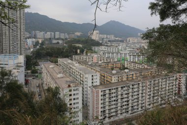 Tai Hang Sai Malikanesi, Hong Kong 22 Mart 2015