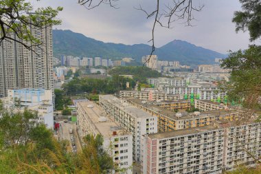 Tai Hang Sai Malikanesi, Hong Kong 22 Mart 2015