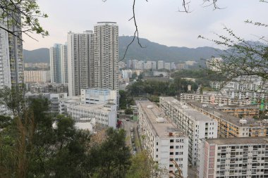 Tai Hang Sai Malikanesi, Hong Kong 22 Mart 2015